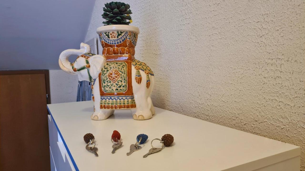 Apartment Navita マカルスカ エクステリア 写真